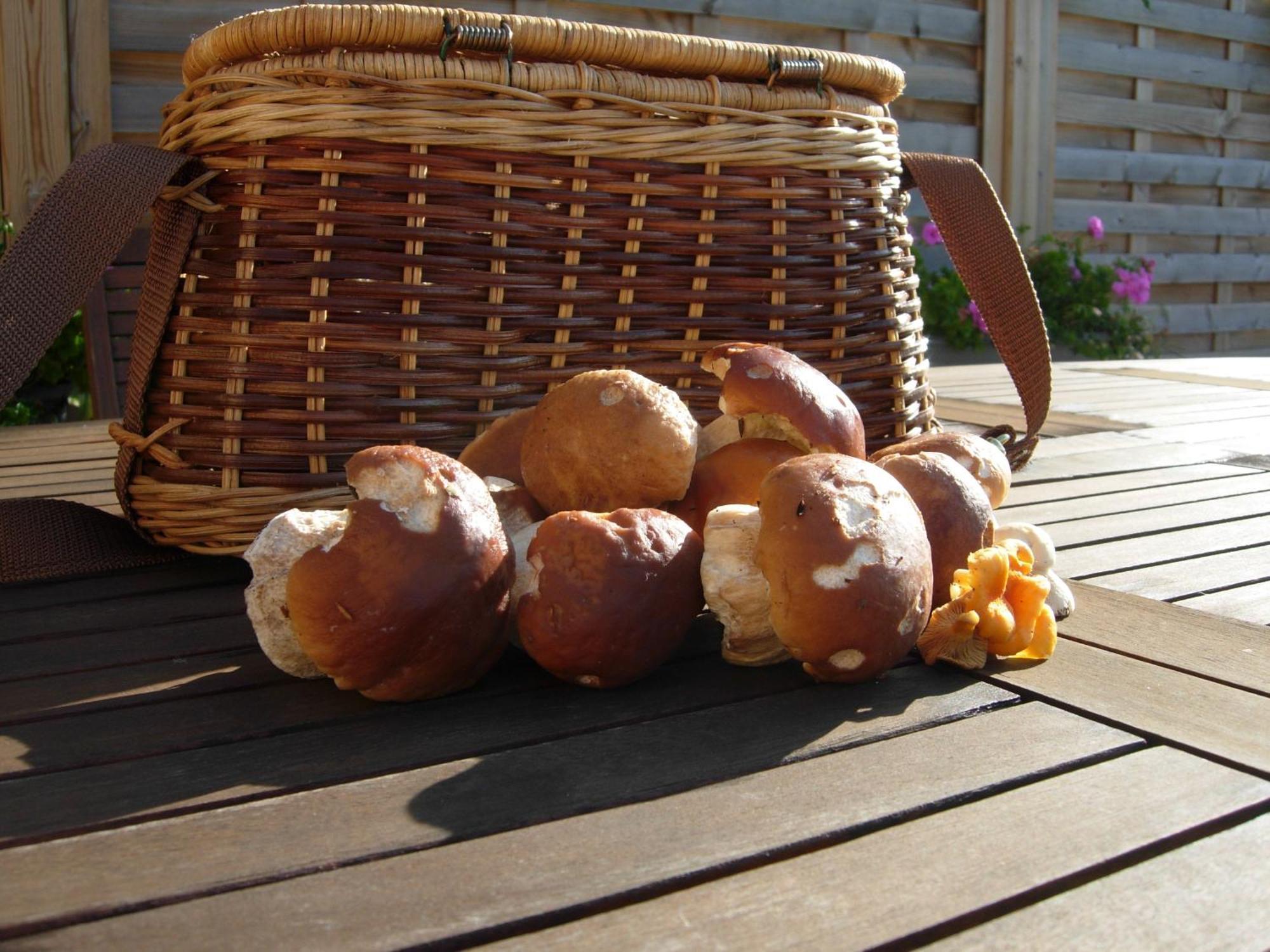 Bed and Breakfast Les Grands Pres Geney Екстер'єр фото